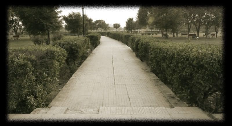 path-1.jpg