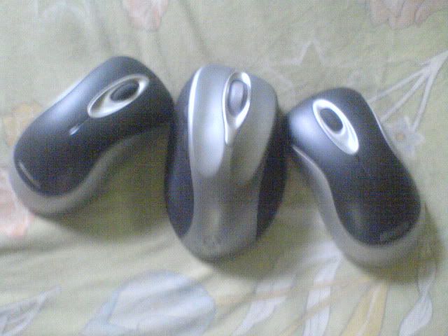 DSC01483.jpg