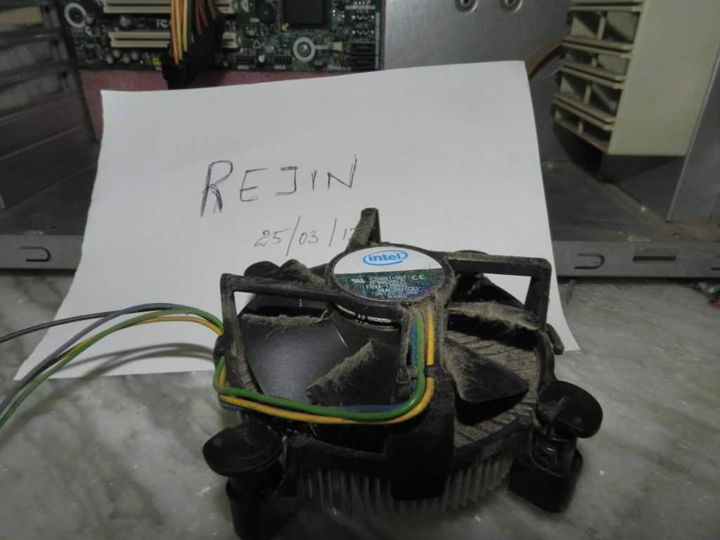 DSCN7984.jpg