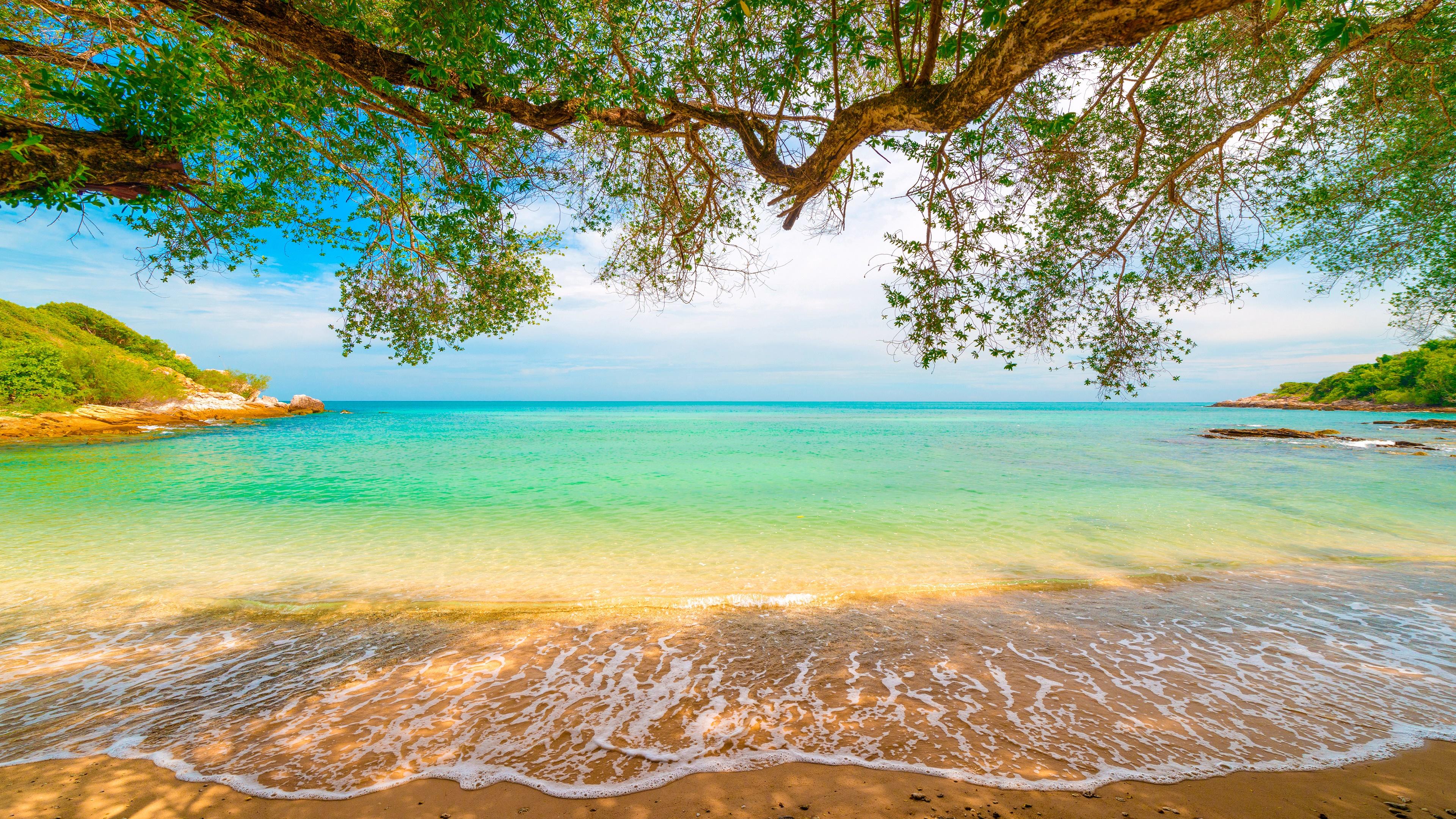 Tropical-sand-beach-Lagoon-coastline-sea-waves-turquoise-water-trees-willow-overhanged-horizon-landscape-nature-4K-Ultra-HD-Wallpapers-High-Quality.jpg
