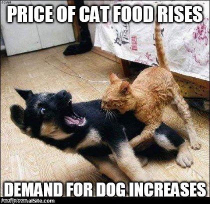 the-frugality-of-cats.jpg