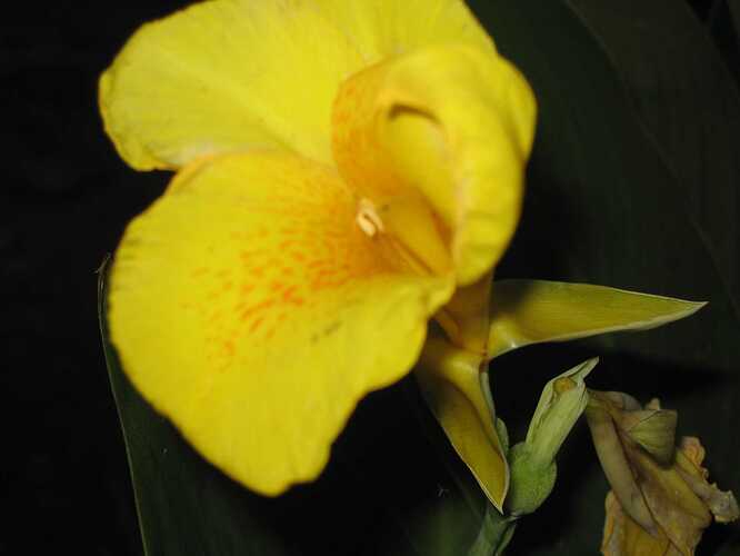 diwali vacation 003.jpg