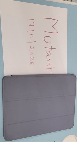 WhatsApp Image 2025-11-17 at 22.00.50.jpeg