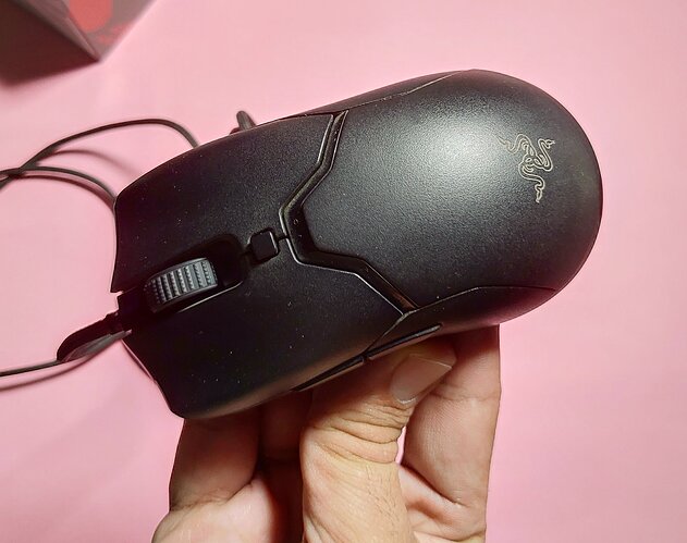 P_20250623_155639 copy.jpg