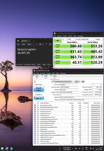 Screenshot (197)