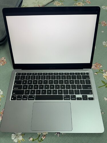 IMG_2654.jpeg