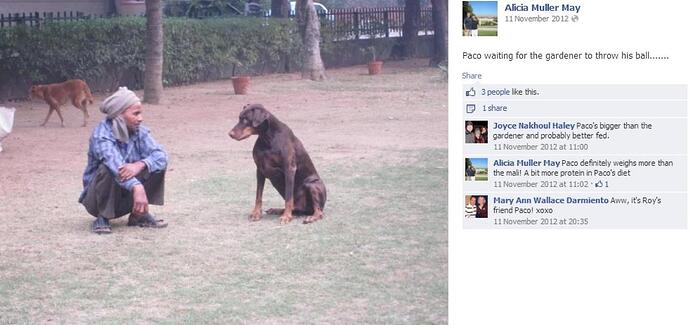 tumblr_mz9tq5FrH11tpcfylo1_1280.jpg