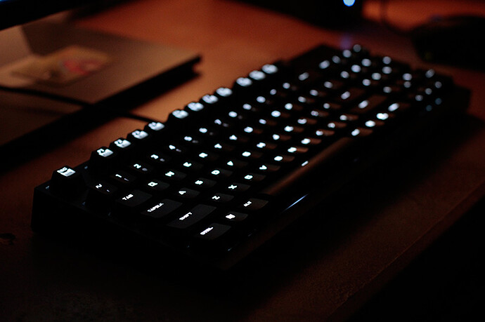 _MG_6241.jpg
