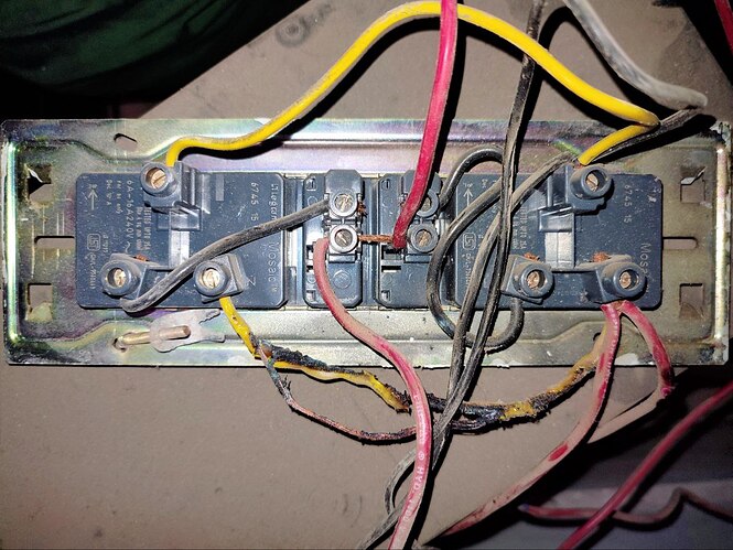 photo_2025-09-11 19.59.49