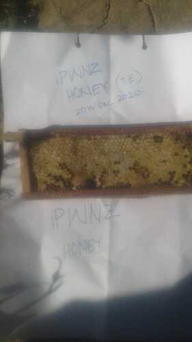 Honey.jpeg