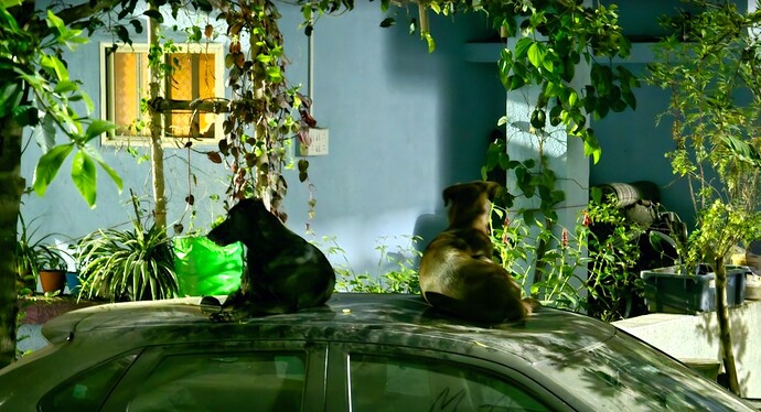 SS 2026-01-02 at 16.11.32