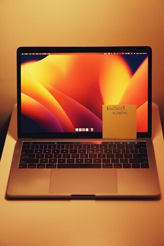 MacBook Pro (13-inch, 2019, Four Thunderbolt 3 ports) - User