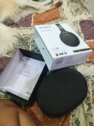 WhatsApp Image 2025-10-21 at 11.10.31 PM