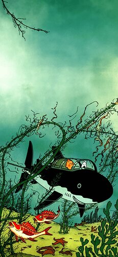 Tintin Redrackhams treasure.jpg