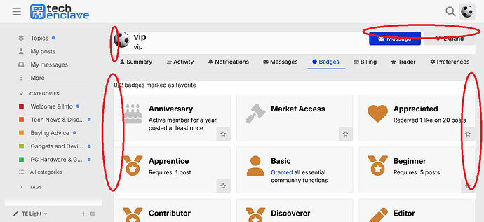 Badges - vip - TechEnclave