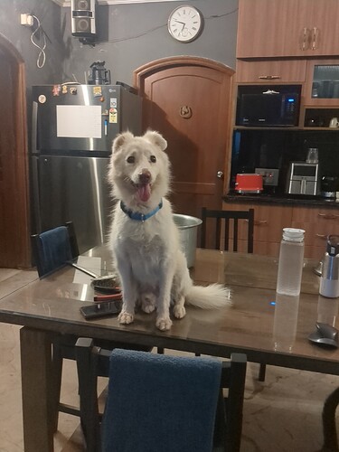 IMG_20241101_184718_339