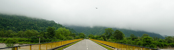 9617978442_17ca87f298_c.jpg
