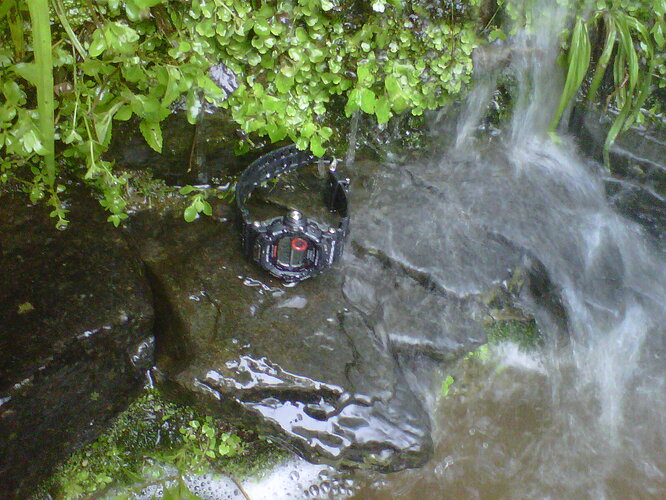 IMG00291-20130818-1543_zps04945884.jpg%7Eoriginal.jpg