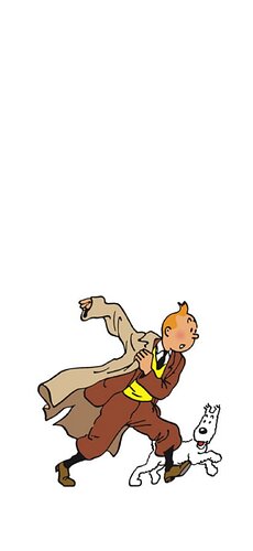tintin ready.jpg