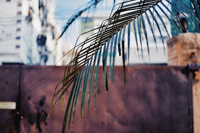 photo_2025-12-07 01.05.21