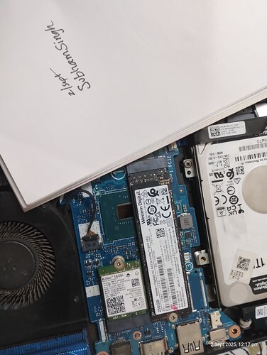 90ed06e1-c645-44ec-acd3-978d8e1247d5
