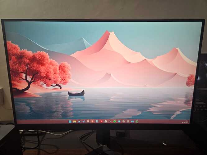 monitor1.jpg