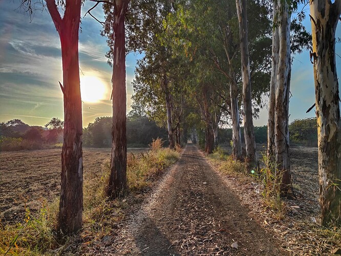 WhatsApp Image 2026-02-26 at 2.29.57 AM