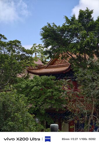 IMG_20250518_215202.jpg
