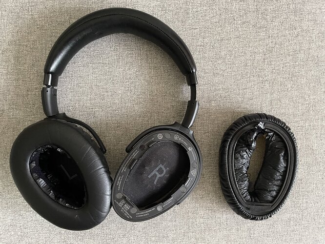 Ear Cup.jpg