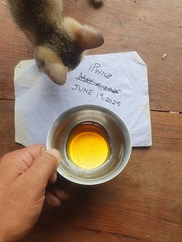 20250619_104548_105433.jpg
