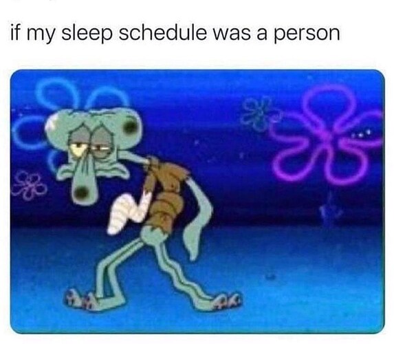 animal-if-my-sleep-schedule-person