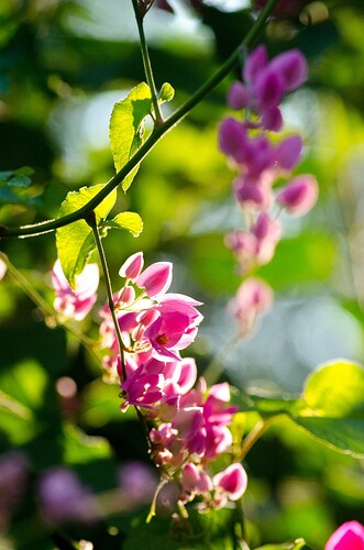 ABK_0045_RES.jpg