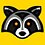 babyraccoon