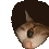 subheader2226