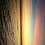user23